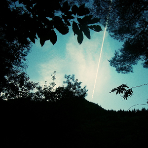 国产午夜声色不卡在线观看
